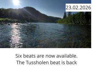 Six beats are now available. The Tussholen beat is back  23.02.2026