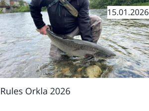 Rules Orkla 2026  15.01.2026