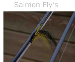 Salmon Fly‘s